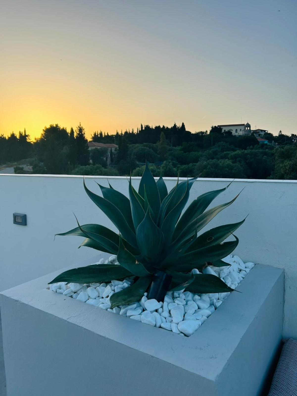 Luz Blanca Villa Agios Leon Buitenkant foto